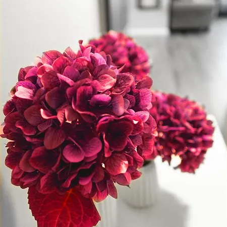 Cch Elephant Poznań