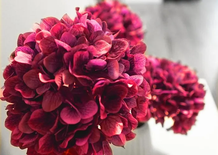 Cch Elephant Poznań